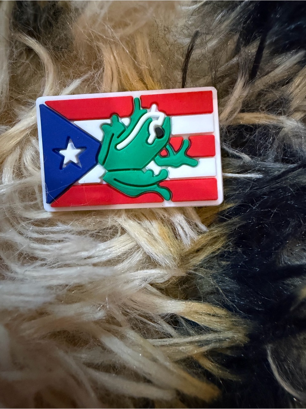 Puerto Rico 🇵🇷 Flag Frog 🐸 croc charm - Red, White, Blue, Green